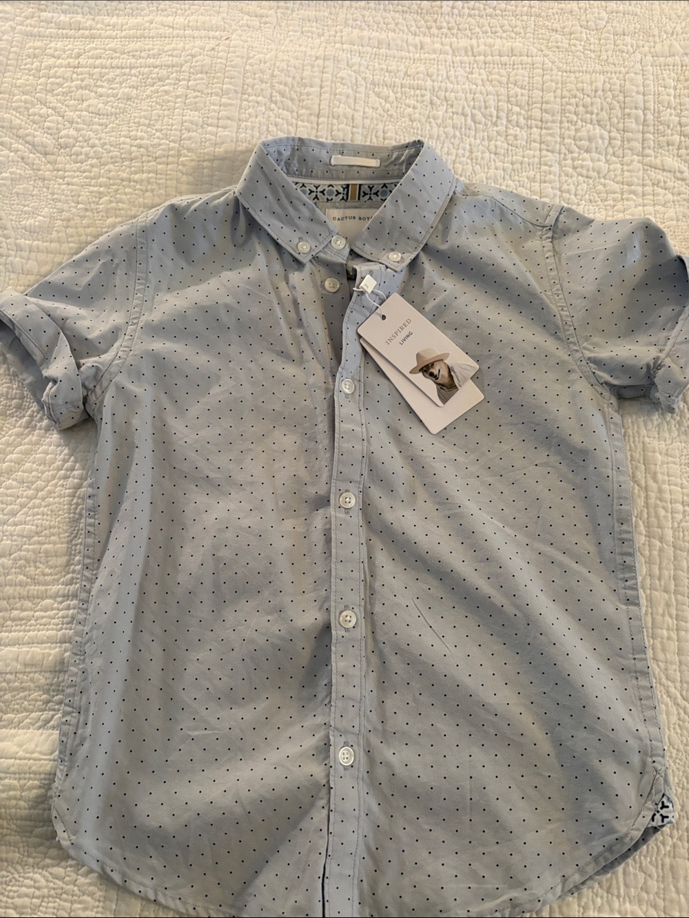 Cactus Light Blue Short-Sleeve Dot-Print Button-Down Shirt - Men